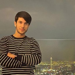 Mohammad Javad Rajabi